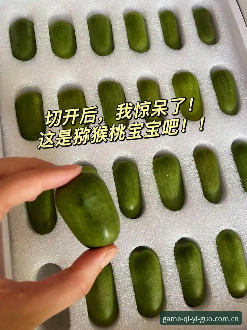 奇异果体育平台新手入门：奇异果手机客户端使用技巧实用指南